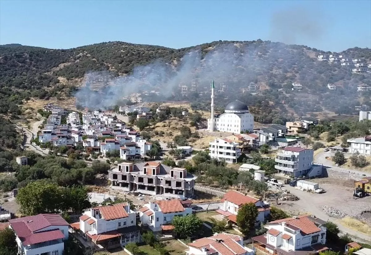 Dikili'de Makilik Yangınına Ekipler Müdahale Ediyor