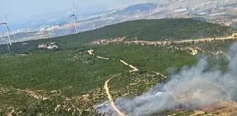 Foça'da Orman Yangınına Hızla Müdahale Ediliyor