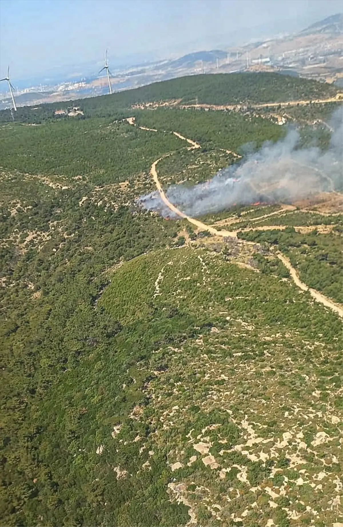 Foça'da Orman Yangınına Hızla Müdahale Ediliyor