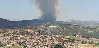 Foça'da Orman Yangınına Hava ve Kara Müdahalesi
