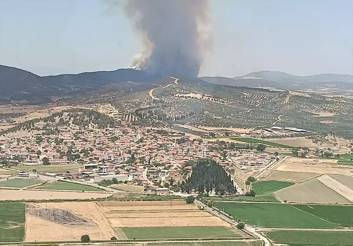 Foça'da Orman Yangınına Hava ve Kara Müdahalesi