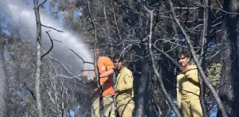 İzmir'in Kemalpaşa İlçesinde Orman Yangını Kontrol Altına Alındı