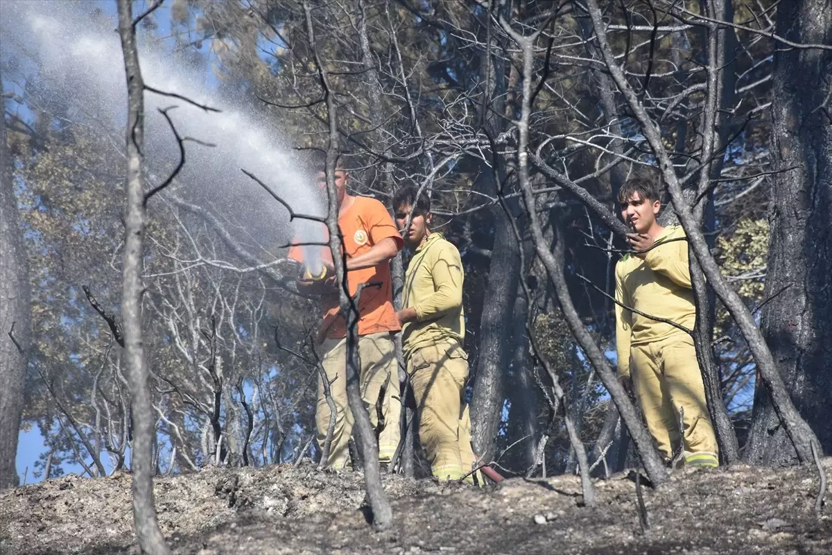 İzmir'in Kemalpaşa İlçesinde Orman Yangını Kontrol Altına Alındı