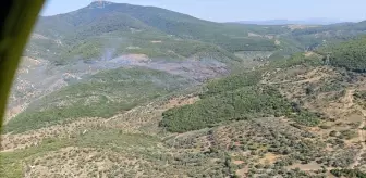 İzmir'in Torbalı İlçesinde Orman Yangını Kontrol Altına Alınmaya Çalışılıyor