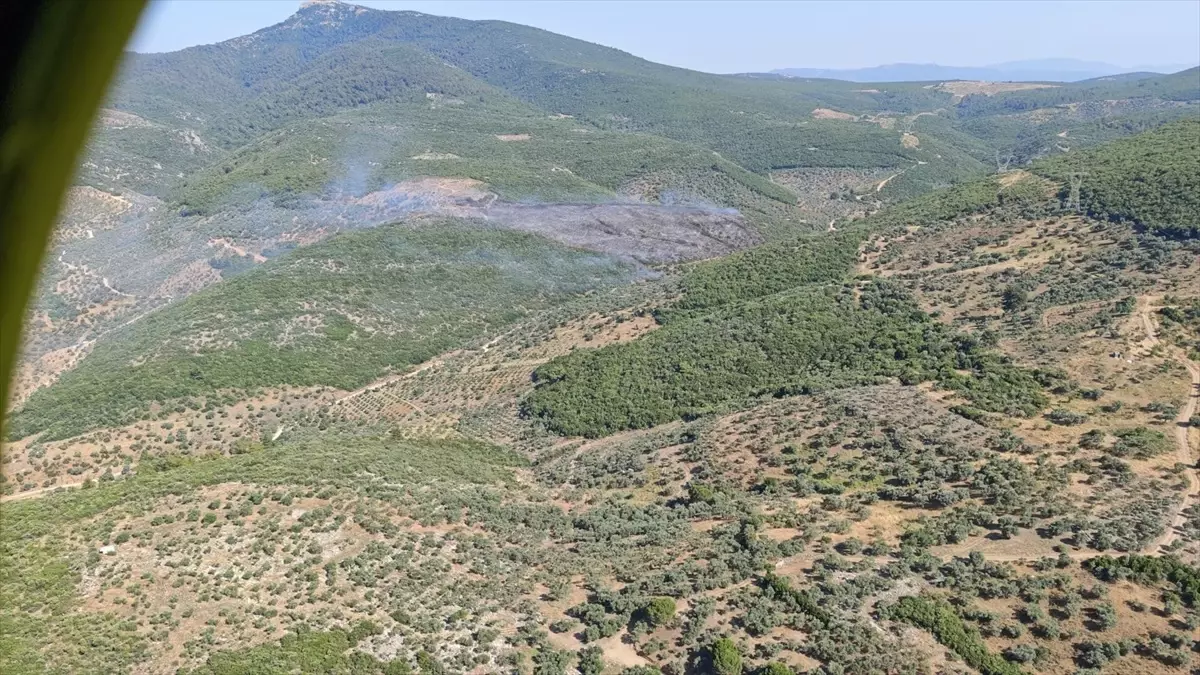 İzmir'in Torbalı İlçesinde Orman Yangını Kontrol Altına Alınmaya Çalışılıyor