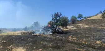 İzmir'de Orman Yangını Kontrol Altına Alındı