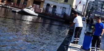 İzmir Körfezi'nde Balık Ölümleri Devam Ediyor