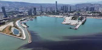 İzmir Körfezi'nde Yeniden Balık Ölümleri ve Kötü Koku Sorunu