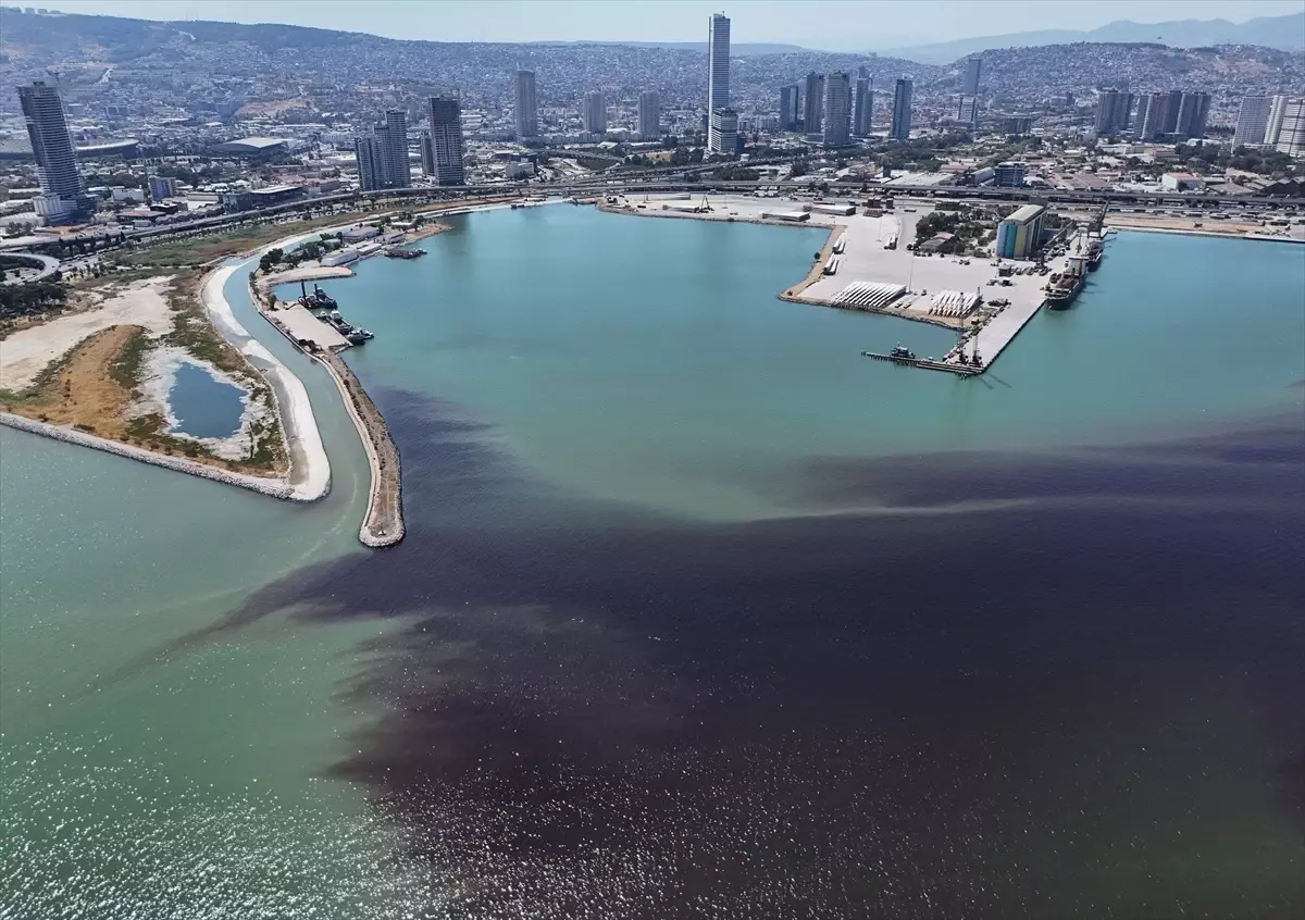 İzmir Körfezi'nde Yeniden Balık Ölümleri ve Kötü Koku Sorunu