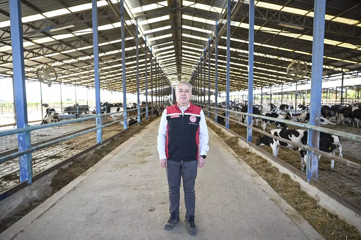Ödemiş'teki Yangın Sonrası Hayvan Tahliyesi ve Bakımı Devam Ediyor