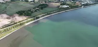İzmit Körfezi'nde Biyoçeşitlilik İçin Dip Çamuru Temizleme Projesi Devam Ediyor