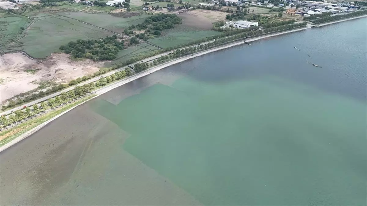 İzmit Körfezi'nde Biyoçeşitlilik İçin Dip Çamuru Temizleme Projesi Devam Ediyor