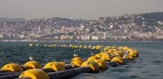 İzmit Körfezi'nde Oksijen Seviyesi Yüzde 40 Arttı, Deniz Canlıları Yararıyla Büyüyor