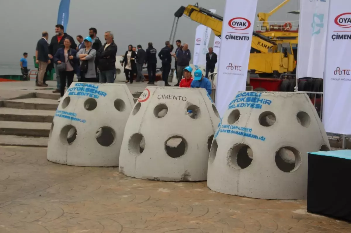 İzmit Körfezi'nde 6 Bin Balık ve 100 Yapay Resif Denize Bırakıldı