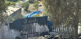 İstanbul Kağıthane'de Ağaçlık Alanda Yangın