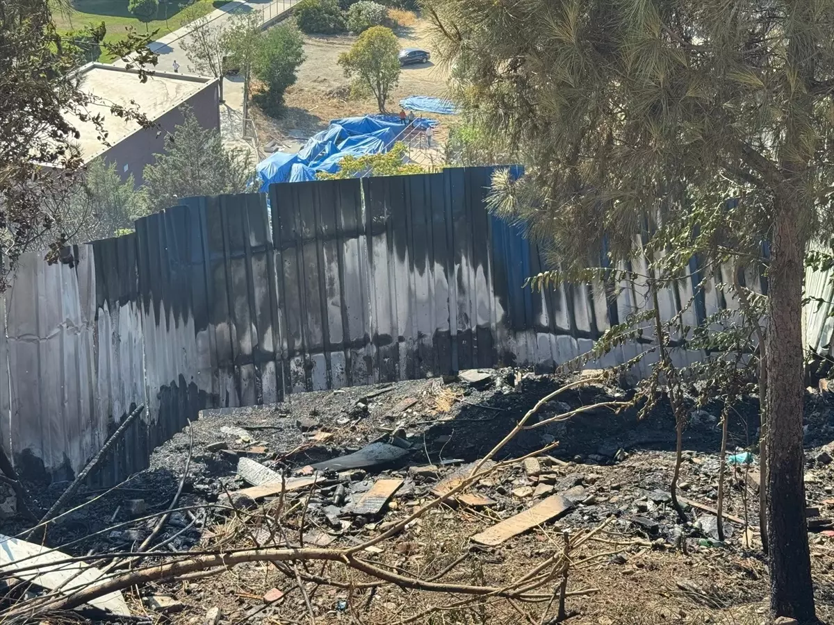 İstanbul Kağıthane'de Ağaçlık Alanda Yangın