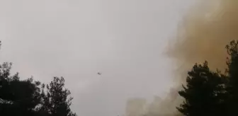 Kahramanmaraş'ta Orman Yangınına Müdahale Devam Ediyor