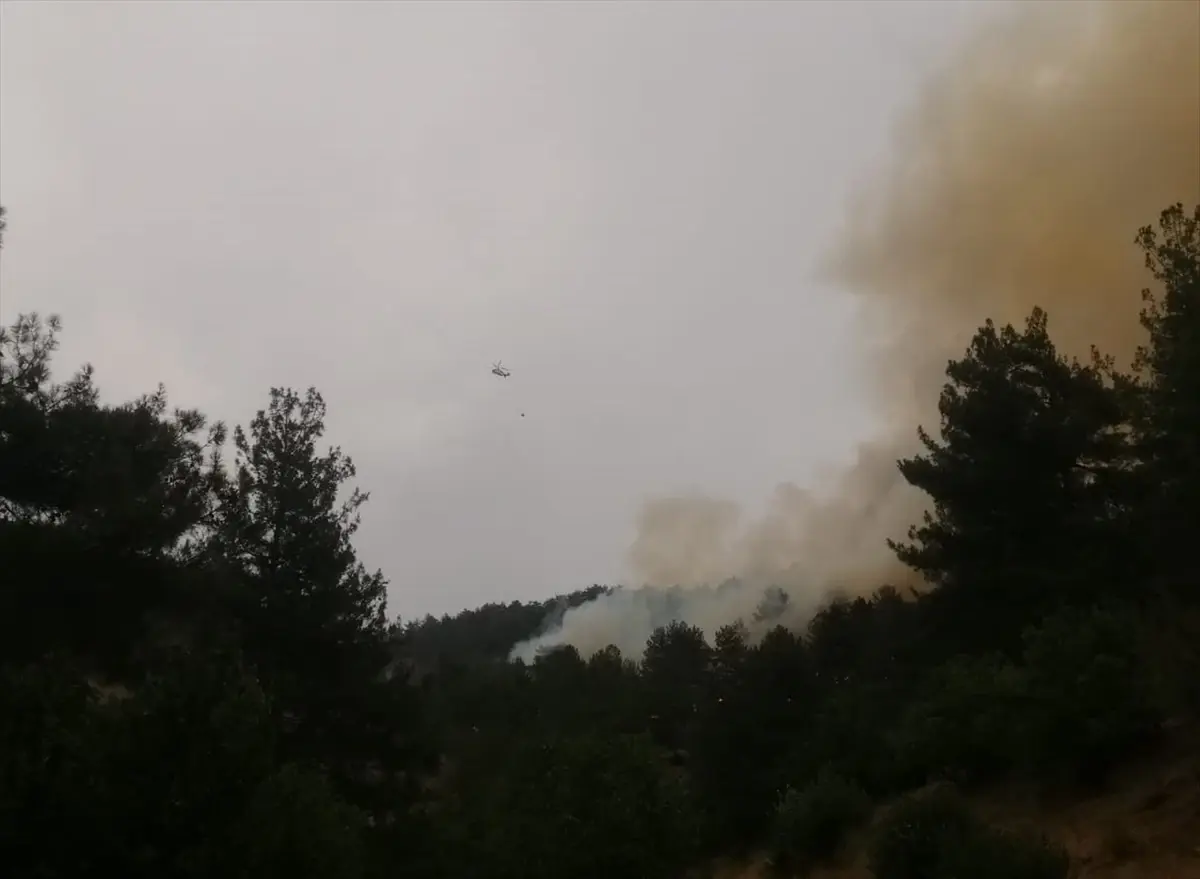 Kahramanmaraş'ta Orman Yangınına Müdahale Devam Ediyor