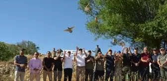 Kahramanmaraş'ta 200 Keklik Doğaya Salındı