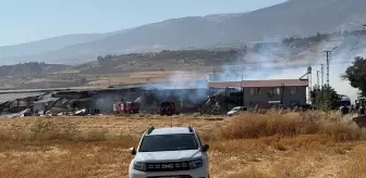 Kahramanmaraş'ta Yangın: 1 Yaralı, 1000 Dönüm Alan Zarar Gördü