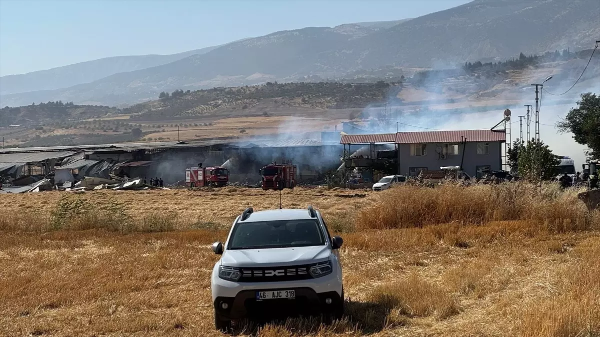 Kahramanmaraş'ta Yangın: 1 Yaralı, 1000 Dönüm Alan Zarar Gördü