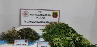 Kahramanmaraş'ta Jandarma Operasyonu: 14 Şüpheli Tutuklandı