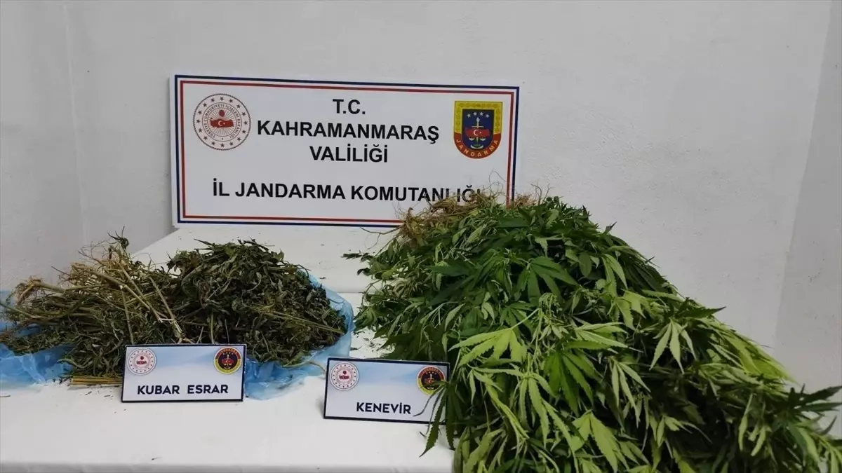 Kahramanmaraş'ta Jandarma Operasyonu: 14 Şüpheli Tutuklandı