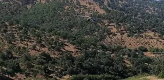 Kahramanmaraş'ta Orman Yangınına Müdahale Devam Ediyor