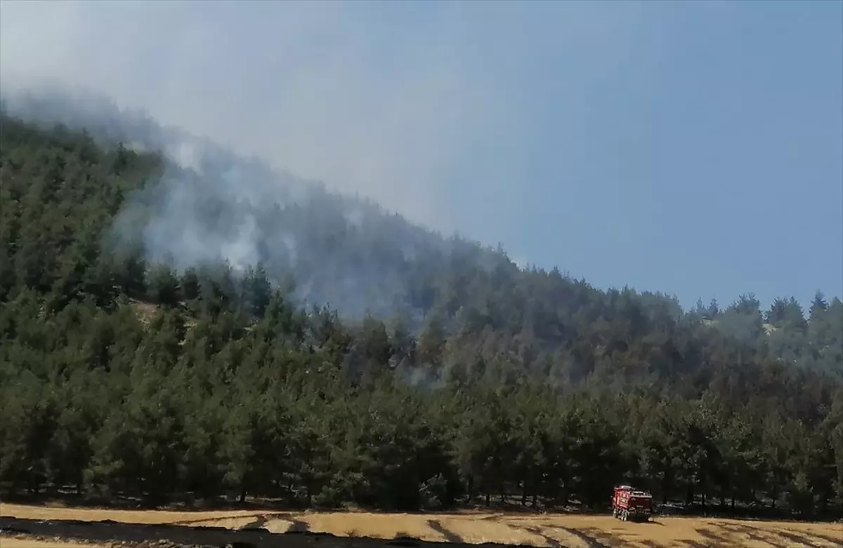 Kahramanmaraş'ta Orman Yangınına Müdahale Devam Ediyor