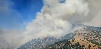 Kahramanmaraş'ta Orman Yangınına Hızla Müdahale Ediliyor