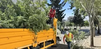 Kahramanmaraş'ta Şiddetli Fırtına Hayatı Olumsuz Etkiledi