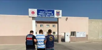 Kahramanmaraş'ta İki Hükümlü Yakalandı