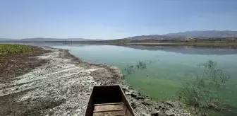 Kahramanmaraş'ta Sır Barajı'nda Balık Ölümleri Araştırılıyor