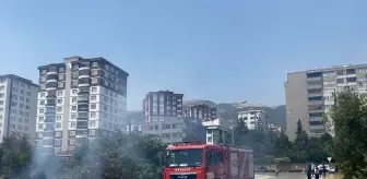 Kahramanmaraş'ta Zeytin Bahçesinde Yangın