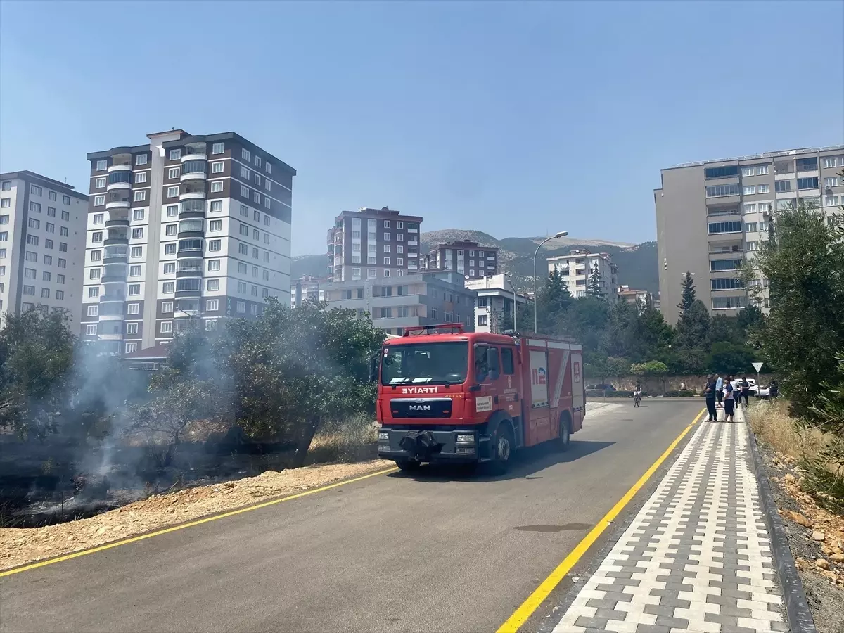 Kahramanmaraş'ta Zeytin Bahçesinde Yangın