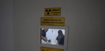 Kahramanmaraş'taki Bakımevinde 2.329 Sokak Hayvanı Tedavi Edildi