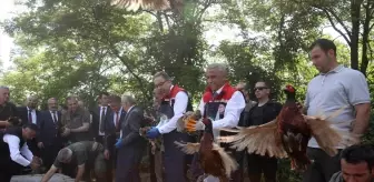 Karadeniz'de Kahverengi Kokarca ile Mücadele için Doğaya Samuray Arıcıları ve Sülünler Bırakıldı
