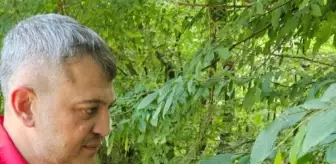 Kandıra'da Kahverengi Kokarcaya Karşı 5 Bin Samuray Arısı Doğaya Salındı