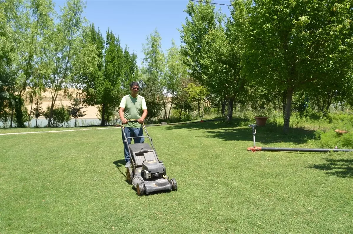 Kanseri Yenen Adam, Atıl Arazisini Yeşillendirerek Yeni Bir Hayat Kurdu