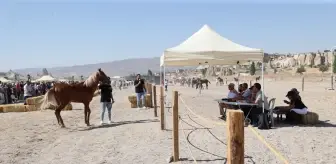 Kapadokya At ve Atçılık Kültürü Festivali'nde Güzellik Yarışması