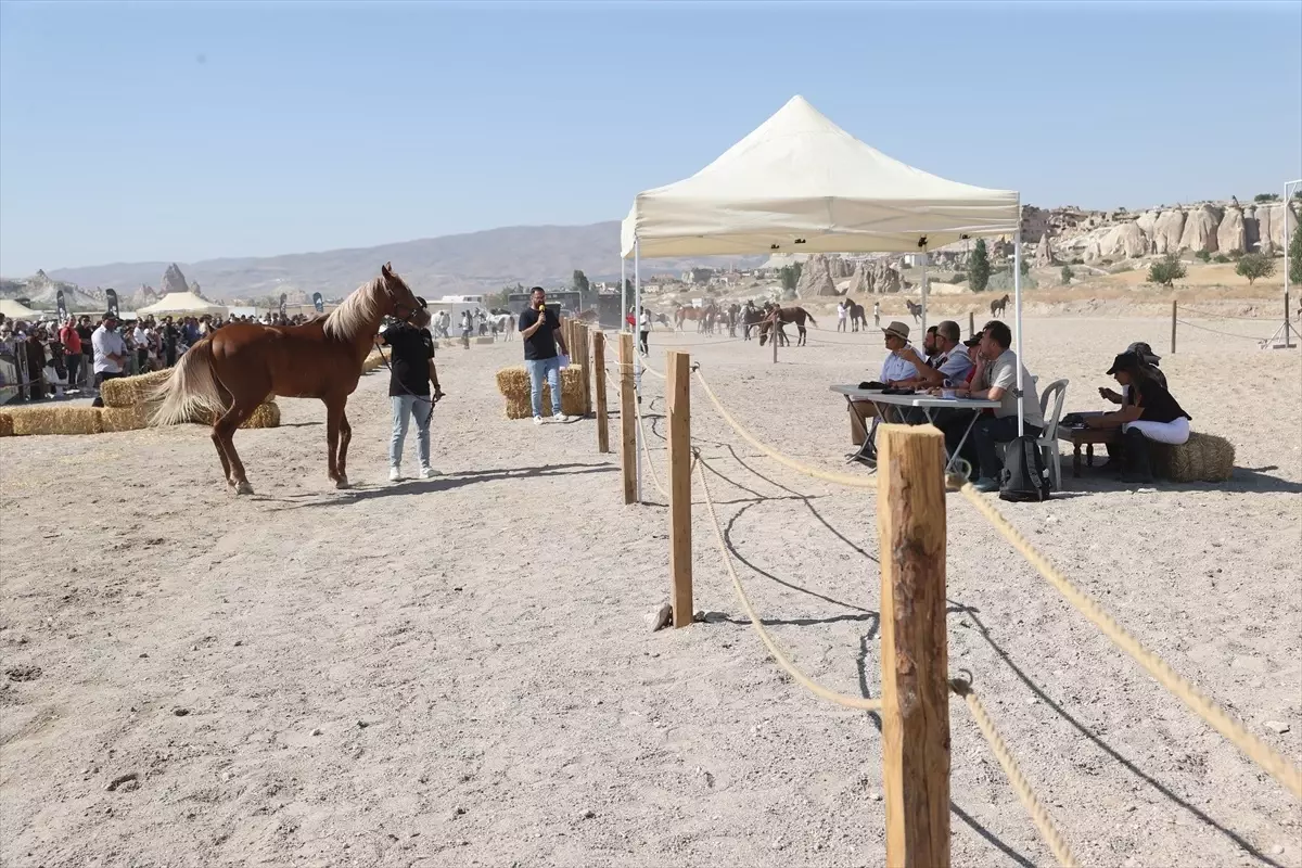 Kapadokya At ve Atçılık Kültürü Festivali'nde Güzellik Yarışması