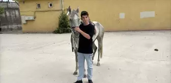 14 Yaşındaki Baran'a LGS Sonrası Ata Hediyeli Sürpriz