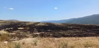 Safranbolu'da Anız Yangını Kontrol Altına Alındı