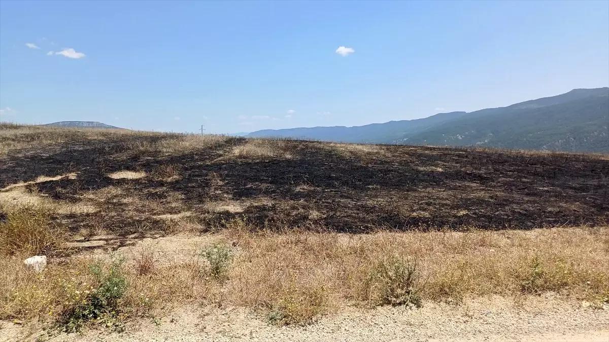 Safranbolu'da Anız Yangını Kontrol Altına Alındı
