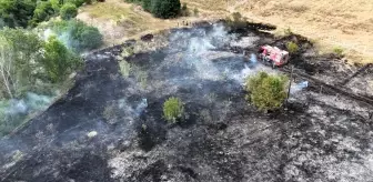 Safranbolu'da Anız Yangını: 6 Dönüm Zarar Gördü