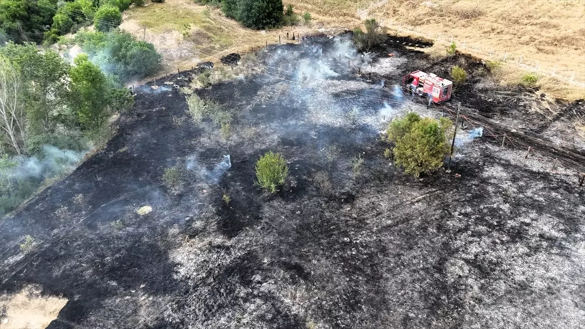 Safranbolu'da Anız Yangını: 6 Dönüm Zarar Gördü