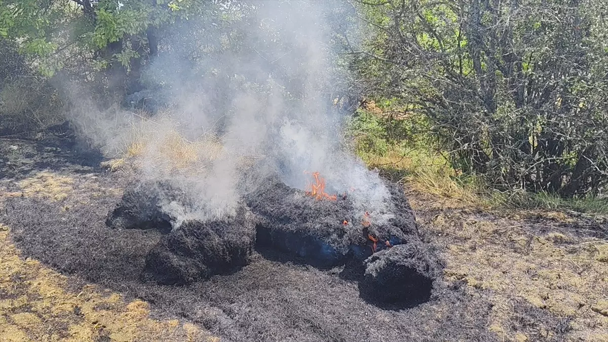 Karabük'te Anız Yangını Söndürüldü