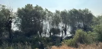 Karabük'te Anız Yangını Kontrollü Bir Şekilde Söndürüldü