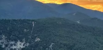 Karabük'te Orman Yangını Kontrol Altına Alındı