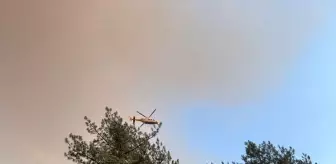 Karabük'te Orman Yangınına Müdahale Devam Ediyor